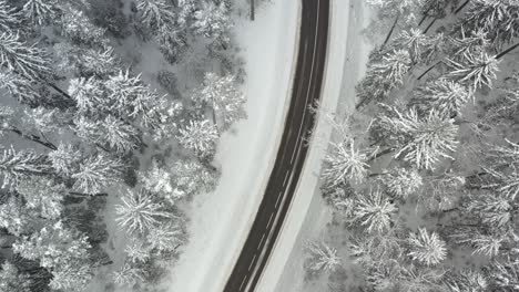 Ein-Glatter-Drohnenschuss,-Der-über-Eine-Straße-Mit-Einem-Schneebedeckten-Kiefernwald-Um-Die-Straße-Fliegt