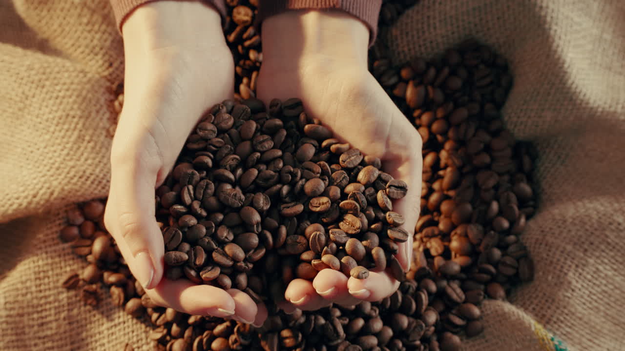 Mani che tengono i chicchi di caffè