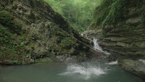 person jumping into a waterfall pool in a lush forest