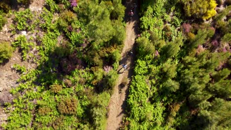 Birdseye-aerial-view-of-hikers-in-Fisgas-Natural-Park-Portugal