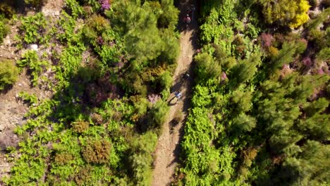 birdseye aerial view of hikers in fisgas natural park portugal