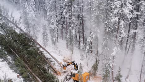 drone pans down from treeline to ground as tree gets cut and laid down by industrial log saw manipulator