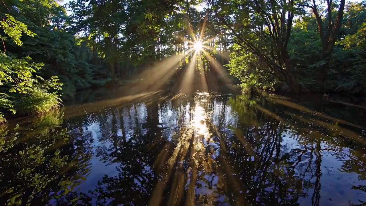 Raggi di sole che filtrano tra gli alberi su un tranquillo stagno nel bosco