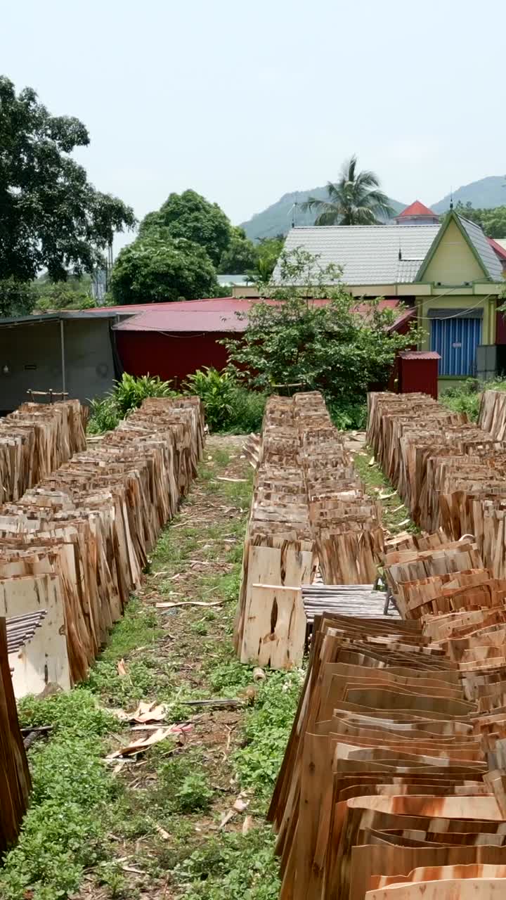 Stacks of Wooden Planks Drying Outdoors