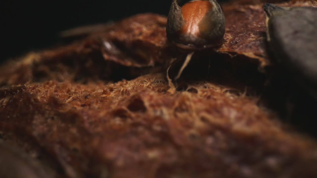 Pumpkin seeds on the crust of whole meal baked brown bread, macro shot