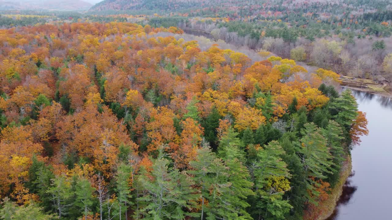 vista aérea del follaje de otoño del bosque junto al río en mount washington, new hampshire