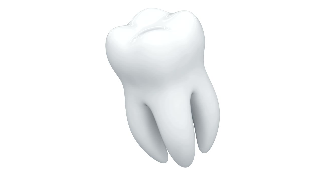 las imágenes de bucle tienen resolución de 4k.