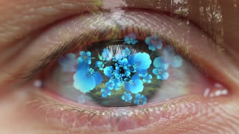 a captivating close-up of an eye reflecting beautiful blossoms, symbolizing nature and perception in a dreamlike blend of colors and textures