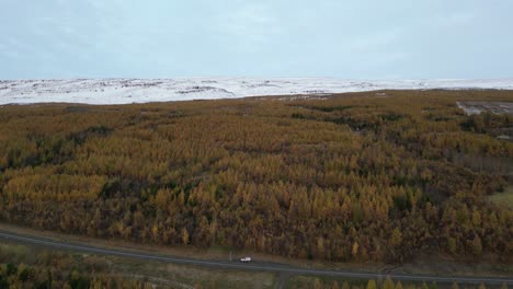 Snowy-mountains-and-autumnal-trees-in-the-East-of-Iceland-on-the-ring-road,-aerial