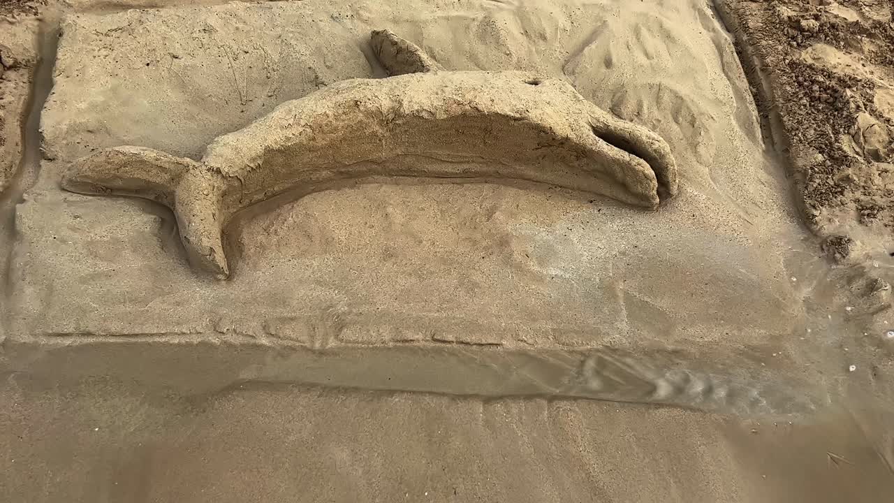 해변에서 모래 돌고래를 씻는 바닷물의 특이한 모습