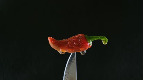 water spraying on dripping wet red jalapeno chili pepper on knife tip