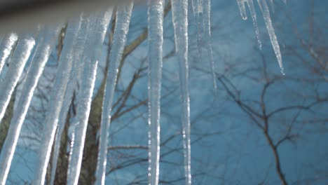 ice stalactites hanging by the house quickly melting