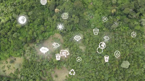 Drone-view--Africa-Forest--Kenya-and-Tanzania-Bush-fire-on-slopes-of-mount-Kilimanjaro-Loitokitok-Kenya