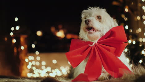 lindo perro con un lazo rojo ve junto a la chimenea tema navideño con animales