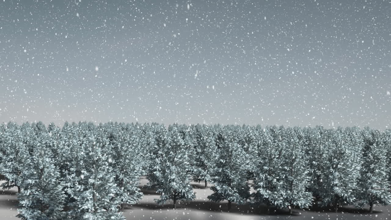 Snow falling and fir trees