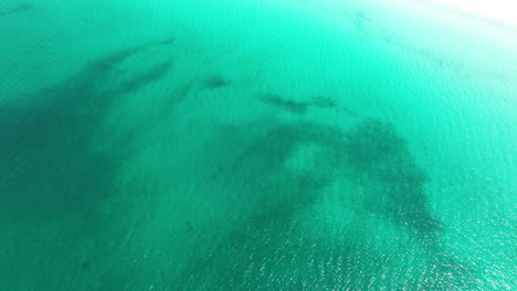 aerial view of turquoise seascape of shoab beach in socotra island, yemen