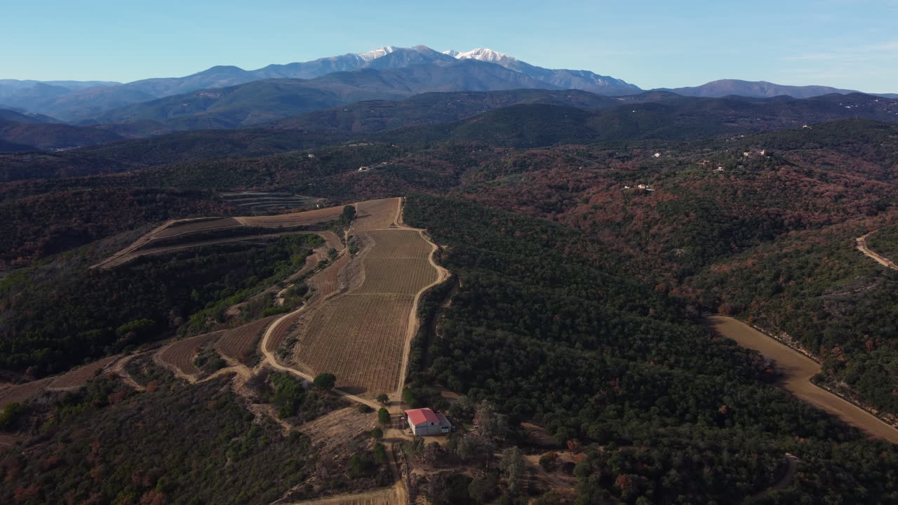 Aerial View of a Scenic Wine Region with Snow-Capped Mountains