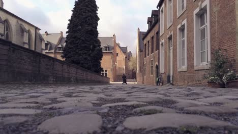 Woman-with-carriage-walks-at-beguinage-Groot-Begijnhof-in-Leuven,-Belgium