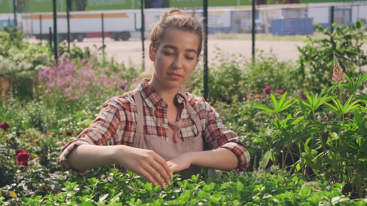 Woman tending to plants in a greenhouse