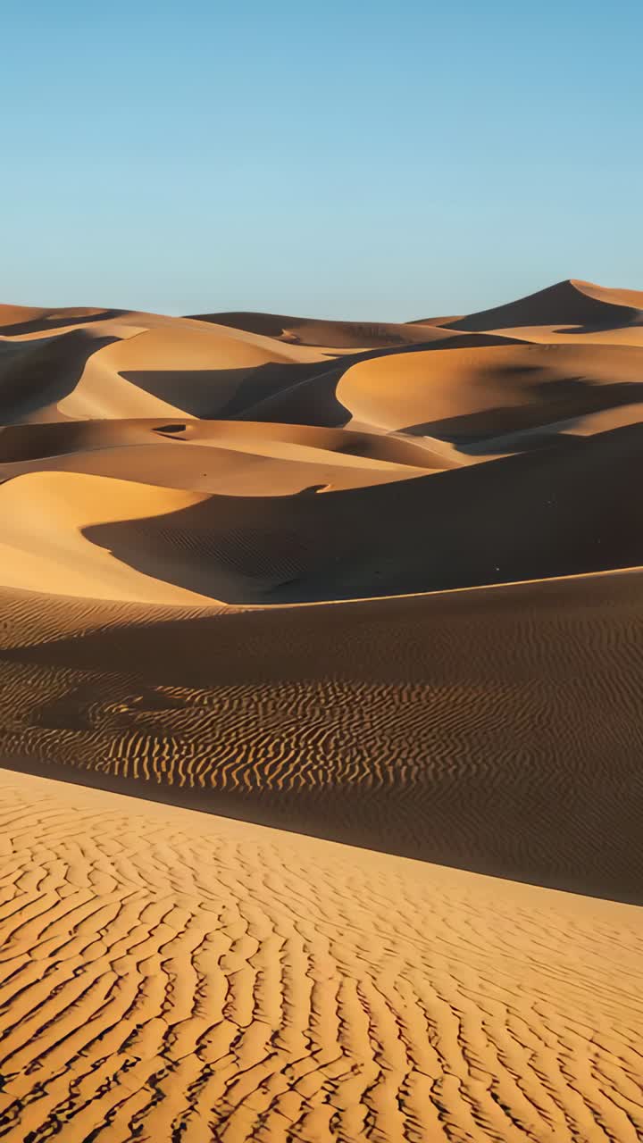 Vertical video: Panning camera revealing rolling sand dunes in desert, highlighting nearby ripples