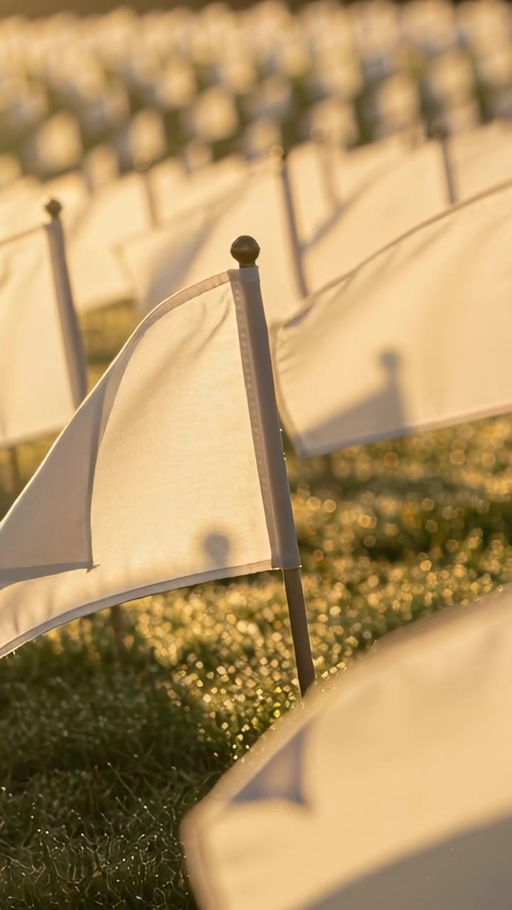 Vertical video: Rippling white flag on short pole in light breeze on grassy field, showing rows