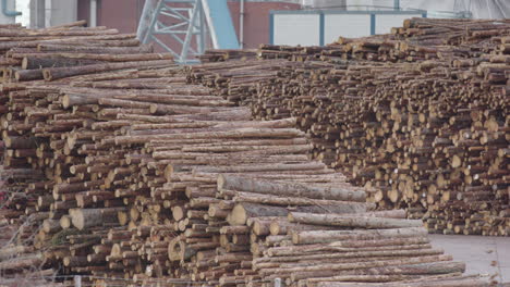 stacked chopped timber waiting to enter a factory in sweden