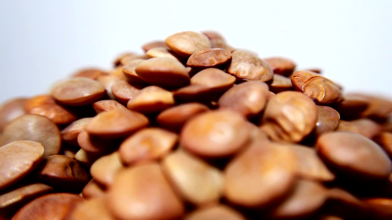 클로즈업으로 렌즈, 루프 360 매크로 비디오