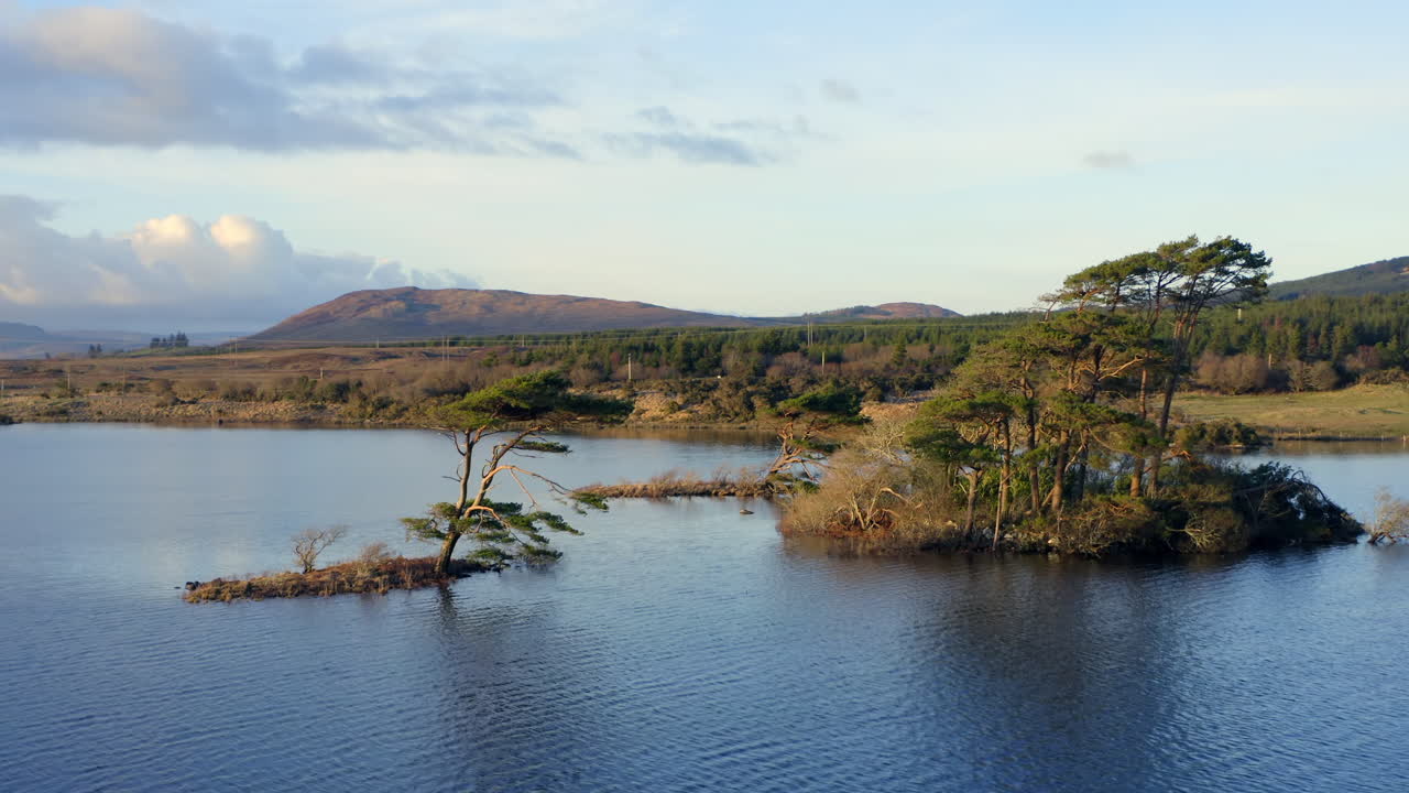 Aerial medium orbit around trees on island in Lough Bofin at sunset, golden hues reflecting off the tranquil lake surface and tree covered islands, Connemara, Galway, Ireland