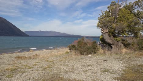 scenery of ohau lake in mackenzie basin, south island, new zealand - wide shot
