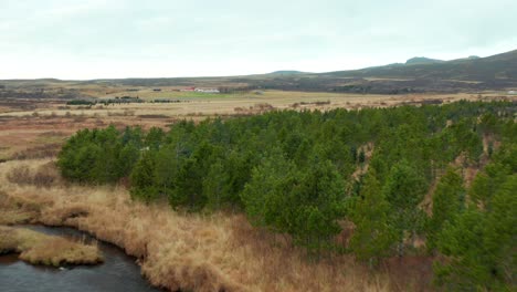 Paisaje-Aéreo-En-Movimiento-Rápido-Sobre-Un-Paisaje-Fluvial-En-El-Valle-Islandés,-Disparo-De-Drones