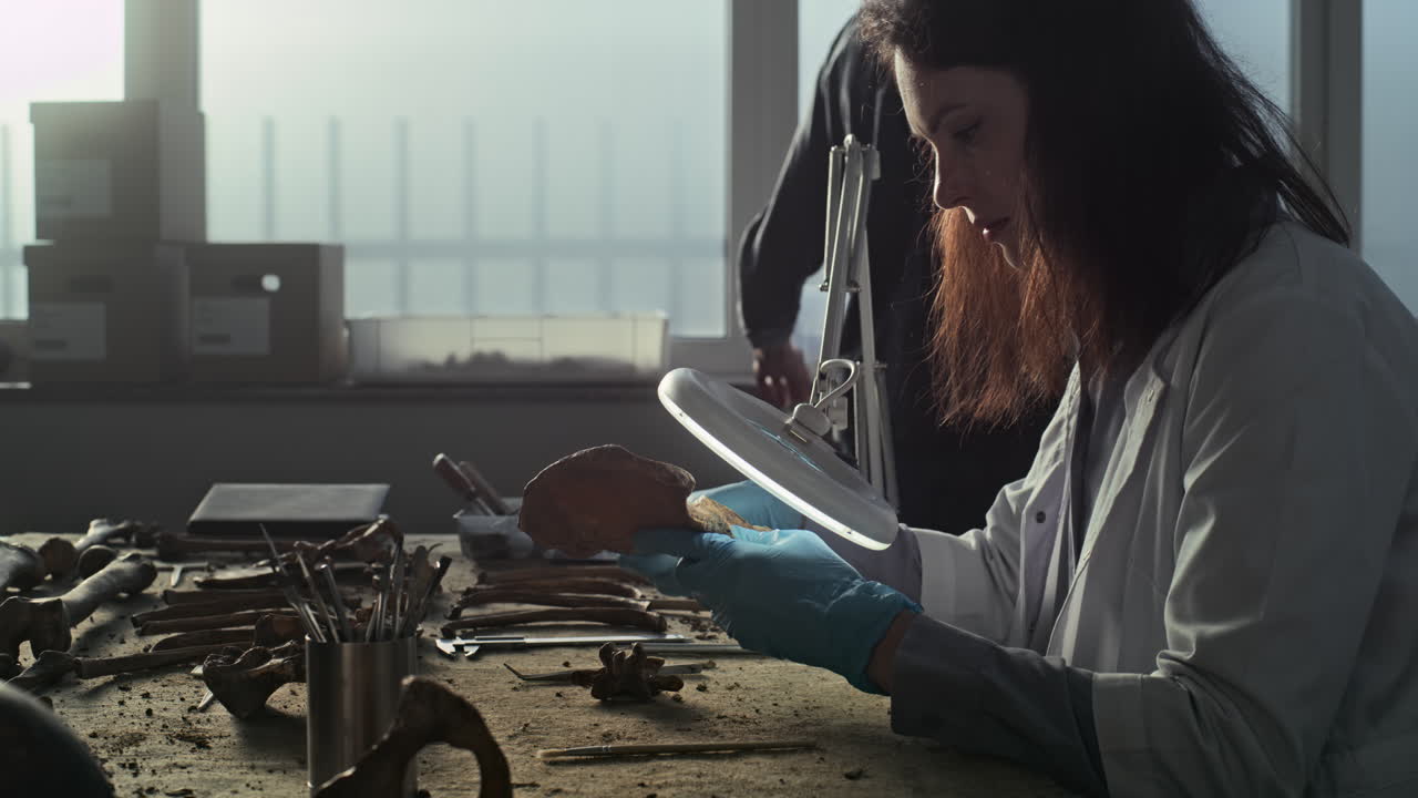 Archaeologist examining bone fragments in a laboratory