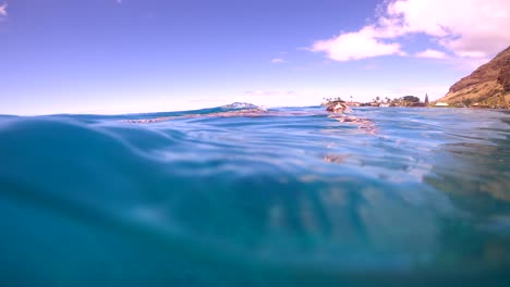 hawaii green sea turtle floating on the surface of the ocean to breathe