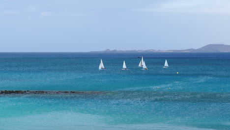 stunning seascape with sailboats on sunny day. static