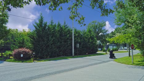 an amish couple using a handicap scooter to travel down the a country road