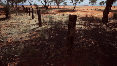 Pampas-with-barbed-wire-fence-and-dry-bushes