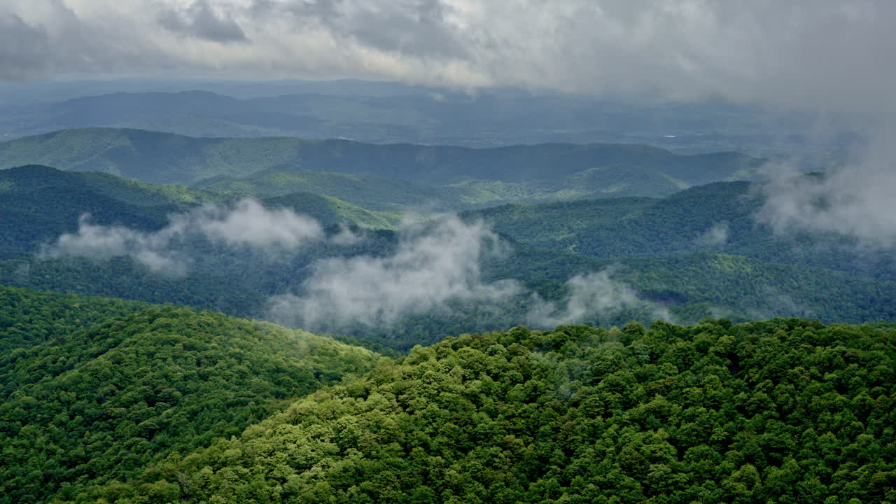 Drone pushes through mist and drizzle to reveal the deep wilderness of the Smokies