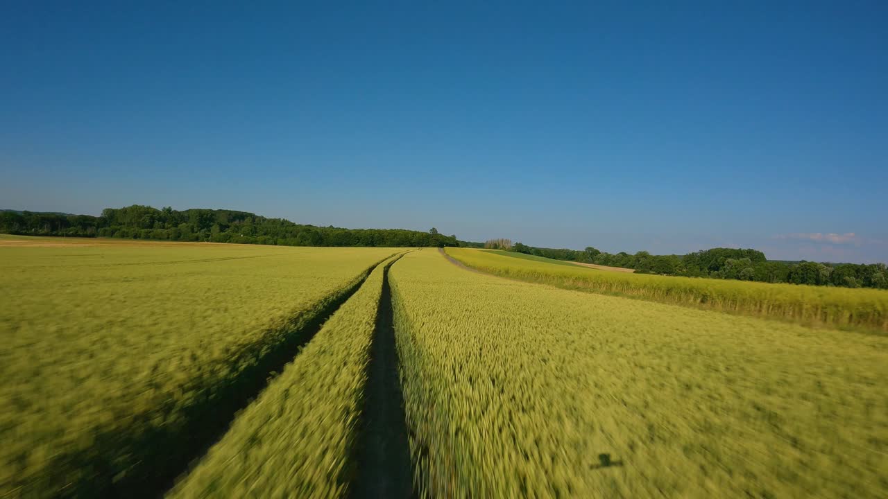 Journées d'été avec mon drone FPV.