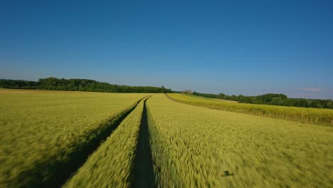 días de verano con mi dron fpv