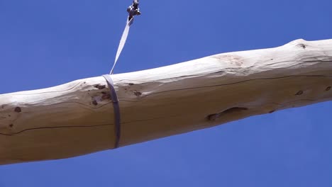 log beam lifting by crane