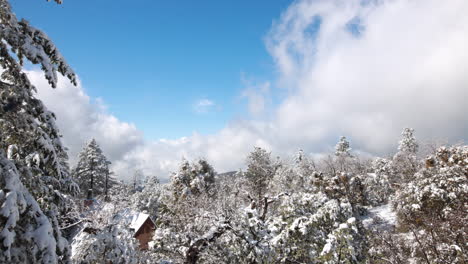 timelapse of a snowy winter day as clouds mover overhead