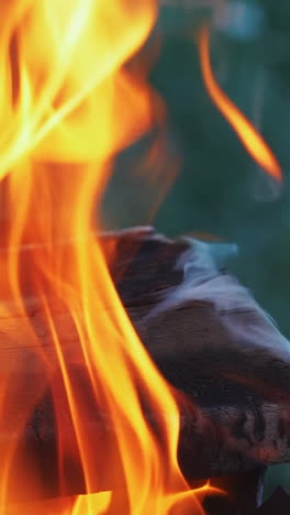 wooden planks to the fire. bonfire. close up. vertical video