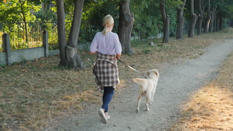 mujer paseando a su perro en un parque