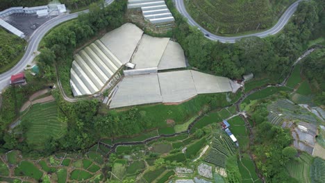 general landscape view of the brinchang district within the cameron highlands area of malaysia