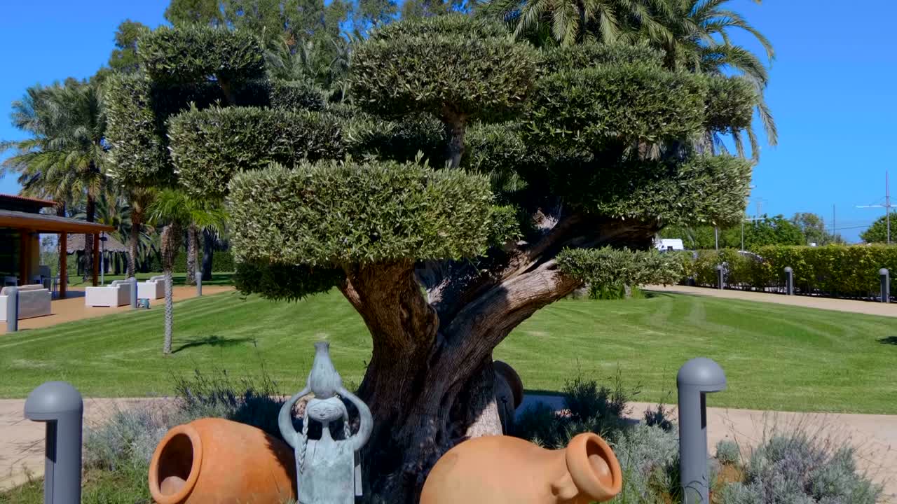 아름다운 토피아리 나무, 소녀의 고대 동상과 거대한 점토 항아리