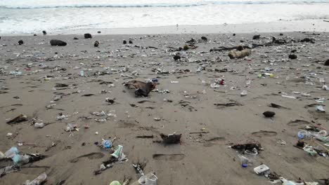 loads of plastic bottles and trash on the beach, polluted ocean