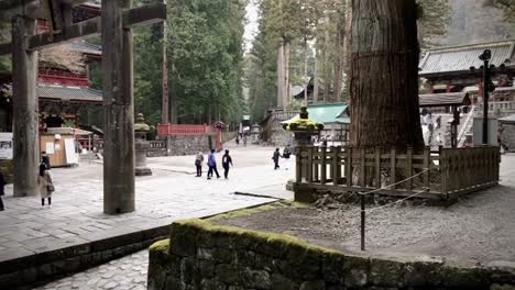 exploring a temple in japan