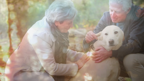 Animación-De-Luz-Brillante-Sobre-El-Retrato-De-Una-Feliz-Pareja-De-Ancianos-Acariciando-A-Un-Perro