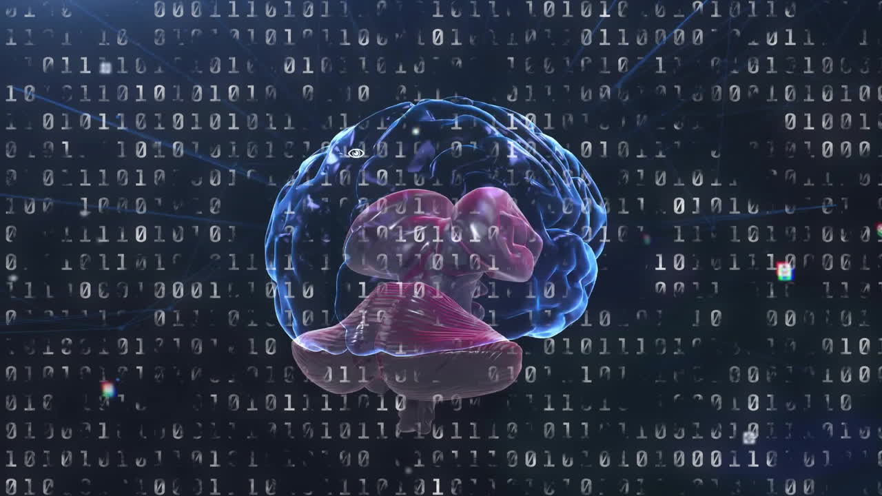어두운 배경에서 인간의 뇌를 통해 이진 코딩 데이터 처리의 애니메이션