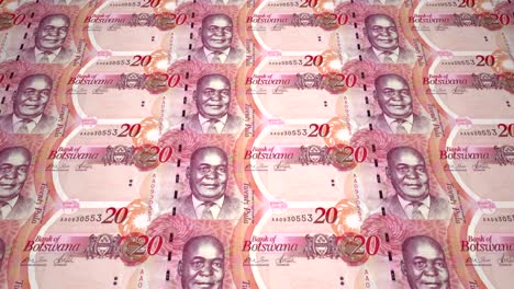 billetes de veinte pulas de botswana, dinero en efectivo, bucle