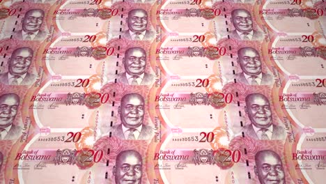 banknotes of twenty pulas of botswana, cash money, loop